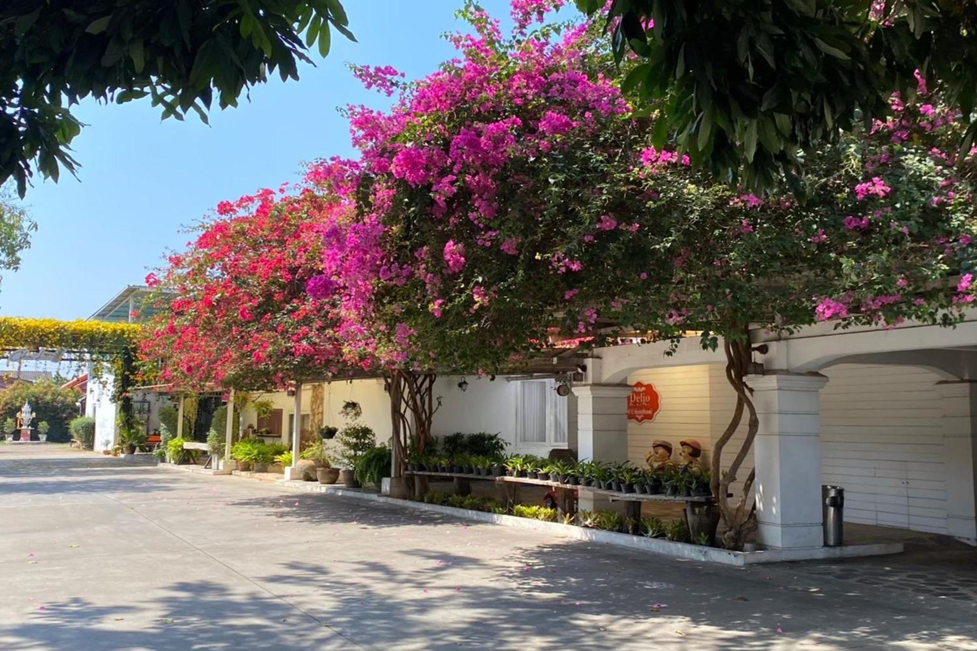 Delio Boutique Hotel Udon Thani Extérieur photo